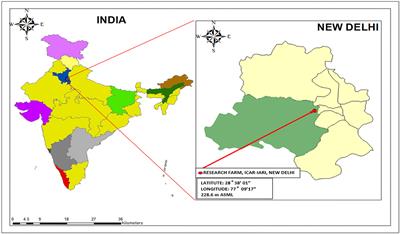 Deciphering the role of phosphorus management under conservation agriculture based wheat production system